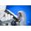 Δίσκος ακονίσματος Universal Pferd PFERD BW 15020-32 AN24