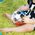Oball OBALL classic ball- rattle, red/ white/ blue, 16922