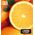 Tusz Epson Epson Multipack 33 - 5 Pack - Black, Yellow, Cyan, Magenta, Photo Black - Original - Blister - Ink Cartridge - for Expression Premium XP-530, XP-630, XP-635, XP-830 (C13T33374510)