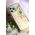 Kingxbar Kingxbar Lucky Series etui ozdobione oryginalnymi Kryształami Swarovskiego iPhone 12 mini przezroczysty (Clover) uniwersalny