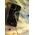 Kingxbar Kingxbar Lucky Series etui ozdobione oryginalnymi Kryształami Swarovskiego iPhone 12 mini przezroczysty (Clover) uniwersalny