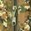 Nils Extreme Plecak Nils CBT7204 moro defender zielony