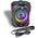 Bontempi BONTEMPI TECH wireless speaker with microphone & RGB lights, 491020