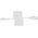 Kabel USB Borofone USB-A - Lightning 1 m Biały (73078)