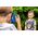Aparat Cyfrowy Kamera HD 1080p dla Dziecka Dzieci Psi Patrol Paw Patrol / PW-533.UEXV24