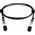 Lanview Dell CBL-10GSFP-DAC-2M