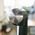 Saturator Brita SodaOne Czarny