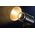 Lampa Studyjna Oświetleniowa Video Led 130w Bluetooth Bi-color / Neewer Ms150b