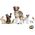 Panama Pet Panama Μπολ πουλιού Pet 0,84 l, κρεμαστό 6457183 5904479515148