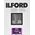 Ilford 1x100 Ilford MG RC DL 1M 10,5x14,8
