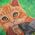 Cats, 18x18cm Crystal Art Card