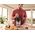Braun MultiQuick 5 Pro MQ 55755 M 0,6 l Blender immersyjny 1000 W Czarny