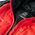 Męska Kurtka Pikowana Pro Guard Quilted Jacket  red/black rozmiar XXL