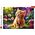 PUZZLE 500 Uroczy kotek 37525