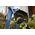 Σετ μαχαίρια Ryobi Ryobi RAC158 10 τεμαχίων