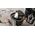 Wyciskarka do cytrusów Caso Caso  CP 200  Type Citrus juicer  Silver  160 W 4038437035407