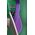 Capslab Capslab DC Comics Joker Cap CL-DC5-1-CAS-JOK2 Beżowe One size