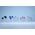 BUTELKA NA WODĘ VITA 700ML NORDIC BLUE 107732015700