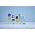 BUTELKA NA WODĘ VITA 700ML NORDIC BLUE 107732015700