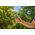 Secateurs GARDENA SuperCut Flex, 24 mm