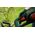 Bosch Bosch cordless grass trimmer Advanced Brushcut 36V-23-750, 36Volt (green/black, Li-ion battery 2.0Ah, POWER FOR ALL)
