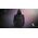 HOODIE Genesis ML GENESIS HOLO XS