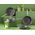 Tefal Renew+ C4240253, Στρογγυλό, Πολυχρηστικό τηγάνι, Γκρι, Κεραμικό, Αλουμίνιο, 1.27 L