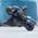 Spin Master Spin Master DC Comics Batman - Batman Adventures 2-in-1 Batcyle, toy vehicle (black)