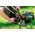 Kosiarka spalinowa Metabo Metabo RM 36-18 LTX BL 36 cordless lawn mower