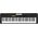 Casio Keyboard Casiotione  CT-S100