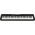 Casio Keyboard Casiotione  CT-S100