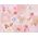 Party Deco Sztućce drewniane, jasnoróżowe, 16cm, 18 szt. uniwersalny