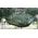 CreativeHome Hamak turystyczny nylonowy AG233F 260x140cm