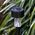 Lampki solarne ogrodowe - 10 szt. Gardlov 23859