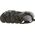 CMP CMP Sahiph Hiking Sandal 30Q9517-E980 Zielone 43