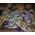 Happy Cat Minkas Kitten Care, drób, 500 g