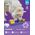 Nina Ottosson Brick Small - gra edukacyjna [71419]