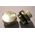 Stelrad ΘΕΡΜΑΝΤΙΚΟ ΣΩΜΑ TERMO TEKNIK V11/900X0400 / 404W