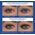 Diego Dalla Palma, MyPushUpToy, Eyelash Primer, 13 ml Για Γυναίκες