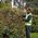 DeWalt DCMHT564N-XJ Hedge Trimmer - 18V - SOLO