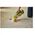Καθαριστικό Ryobi Swift Clean, 1 l