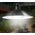 Aptel Lampa żyrandol solarny ogrodowy ZD53D