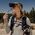 Σακίδιο Outdoor Peak Design Backpack 25L Λευκό