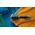 ΦΟΡΗΤΟΣ ΑΤΜΟΚΑΘΑΡΙΣΤΗΣ STH5030/80 PHILIPS