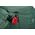 Thule Landmark, 60 L | Women's travel pack | Hazy Green