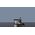 60cm πλάτος επαγωγική εστία Electrolux EIV64453