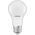 ΛΑΜΠΑ LED E27 A65 9W 840 12-36V