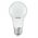 BULB LED E27 A65 9W 827 12-36V