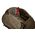 Thule Landmark, 40 L | Travel pack | Deep Khaki