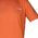 Columbia Rapid Ridge Back Graphic Tee II 1934824851 Πορτοκαλί L